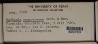 Image Associated With the Occurence